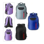 Morral portalaptop francis