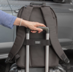 MORRAL "TRANSLATE" - Imagen 9