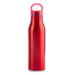BOTILITO METALICO BARRY 600ML - Imagen 3